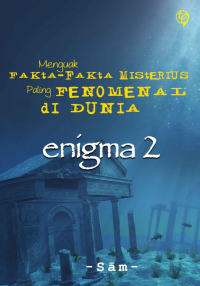 Image of Enigma 2