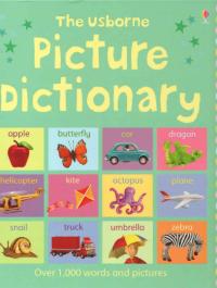 Image of The usborne picture dictionary